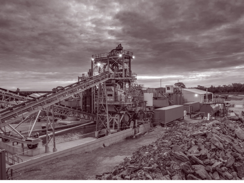 Ilustraciones Selva ind - Home (25)