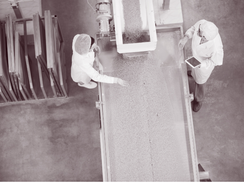 Ilustraciones Selva ind – Home (23) Ilustraciones Selva ind - Home (23)